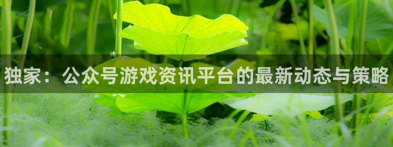 星欧娱乐集团