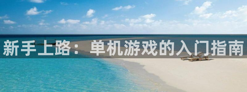 星欧娱乐集团：新手上路：单机游戏的入门指南