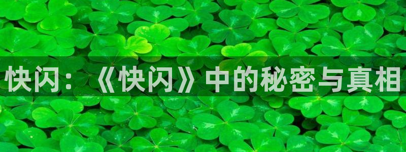 星欧娱乐代理登陆：快闪：《快闪》中的秘密与真相