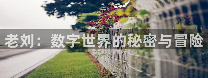 星欧娱乐登录网址：老刘：数字世界的秘密与冒险