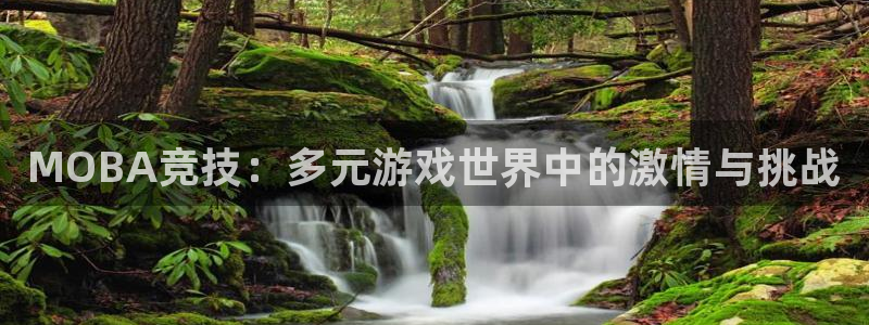 星欧娱乐注册地址：MOBA竞技：多元游戏世界中的激情与挑战