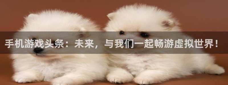 星欧娱乐注册网站：手机游戏头条：未来，与我们一起畅游虚拟世界