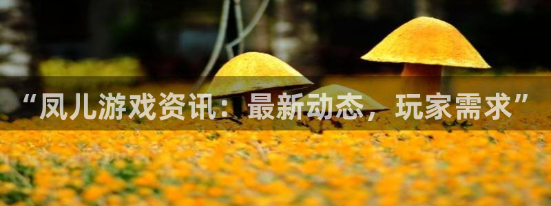 星欧娱乐咨询：“凤儿游戏资讯：最新动态，玩家需求”
