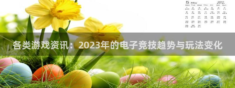 星欧娱乐4开户：各类游戏资讯：2023年的电子竞技趋势与玩法
