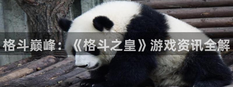 星欧娱乐集团：格斗巅峰：《格斗之皇》游戏资讯全解