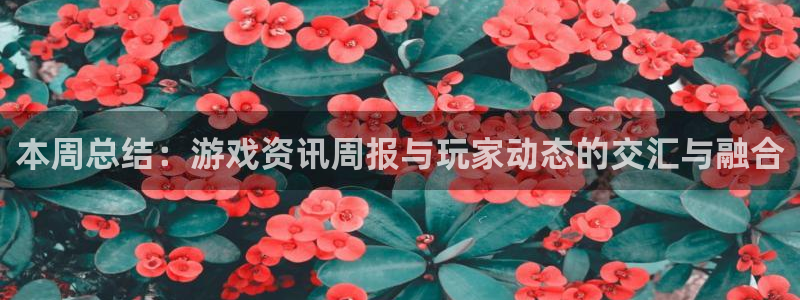星欧娱乐什么意思：本周总结：游戏资讯周报与玩家动态的交汇与融
