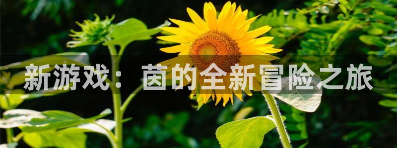 星欧娱乐平台登录线路：新游戏：茵的全新冒险之旅