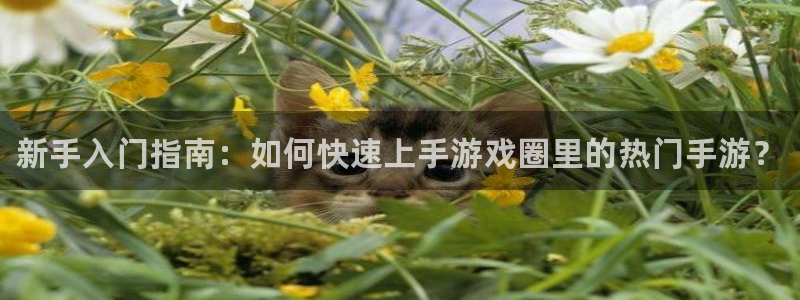 星欧娱乐在线登录：新手入门指南：如何快速上手游戏圈里的热门手