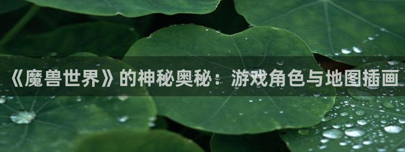 星欧娱乐4开户：《魔兽世界》的神秘奥秘：游戏角色与地图插画