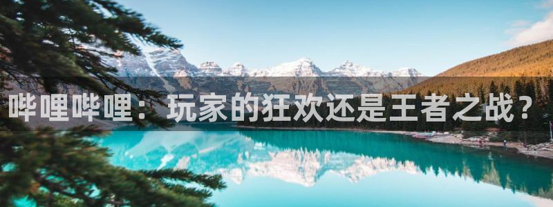 星欧娱乐咨询：哔哩哔哩：玩家的狂欢还是王者之战？