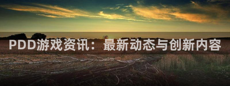 星欧娱乐登录网址：PDD游戏资讯：最新动态与创新内容