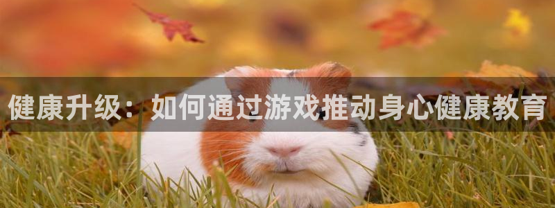 星欧娱乐4招商：健康升级：如何通过游戏推动身心健康教育