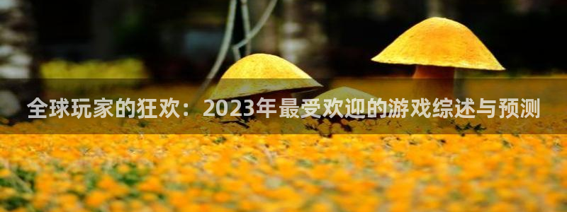 星欧娱乐登录地址：全球玩家的狂欢：2023年最受欢迎的游戏综
