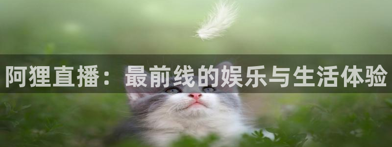 nba玩球直播手机在线直播：阿狸直播：最前线的娱乐与生活体验