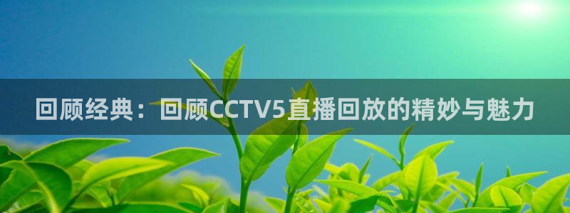 玩球直播下载：回顾经典：回顾CCTV5直播回放的精妙与魅力
