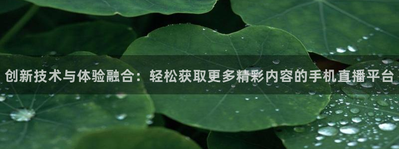 玩球体育直播吧：创新技术与体验融合：轻松获取更多精彩内容的手机直播平台